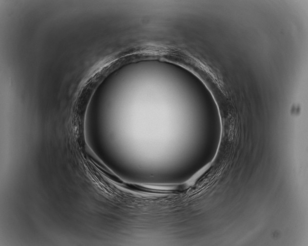 X0000098081448200804041137