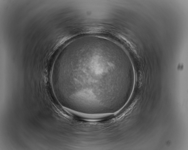 X0000098081449200804041137