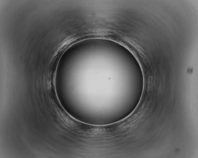 X0000098081451200804041137