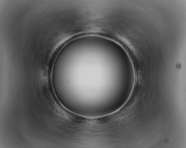 X0000098081452200804041137