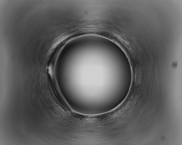 X0000098081453200804041137