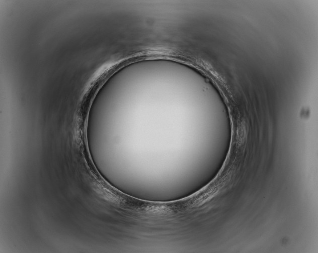 X0000098081454200804041137