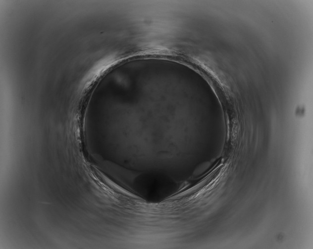 X0000098081455200804041137
