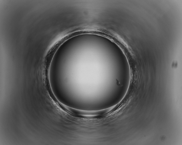X0000098081456200804041137