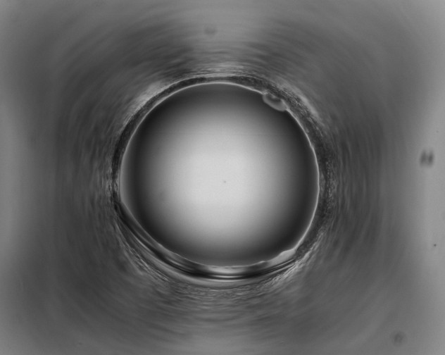 X0000098081457200804041137