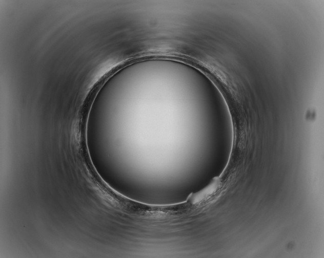 X0000098081458200804041137