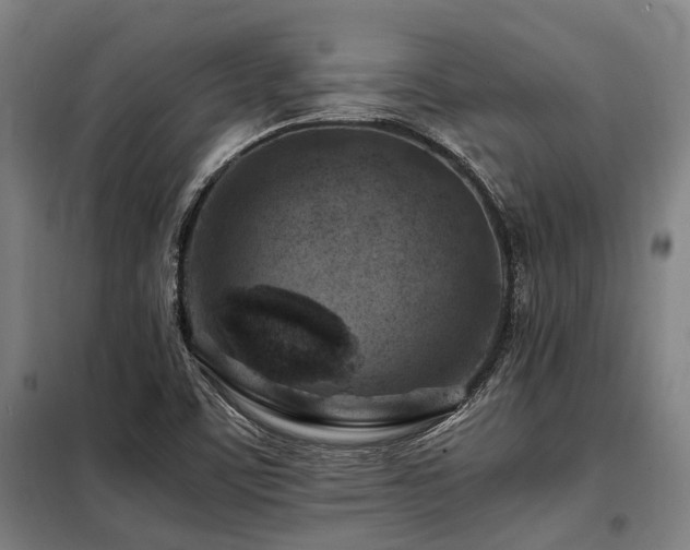 X0000098081459200804041137