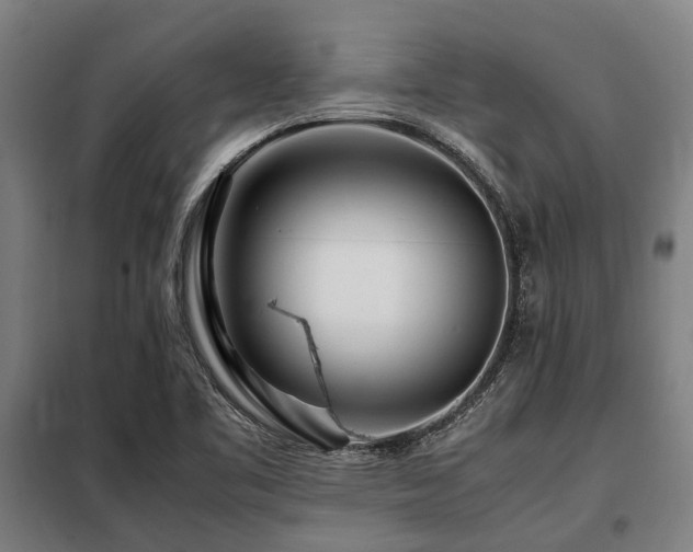 X0000098081461200804041137