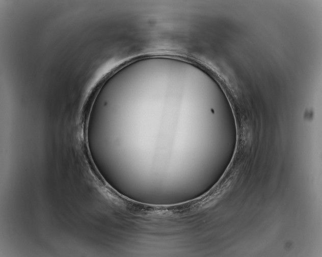 X0000098081462200804041137