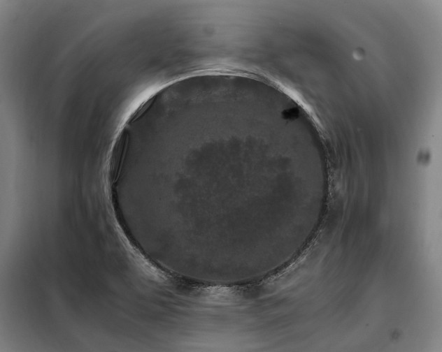 X0000098081463200804041137