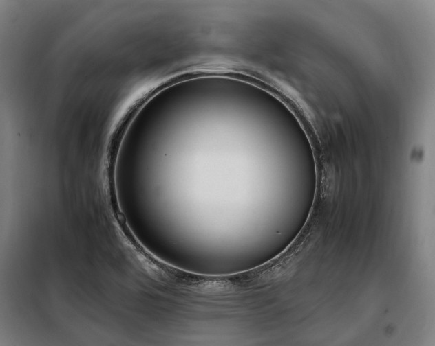 X0000098081464200804041137