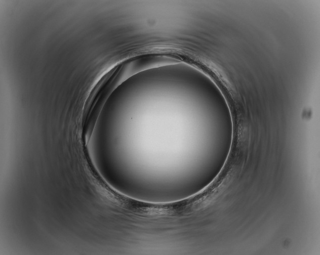 X0000098081465200804041137