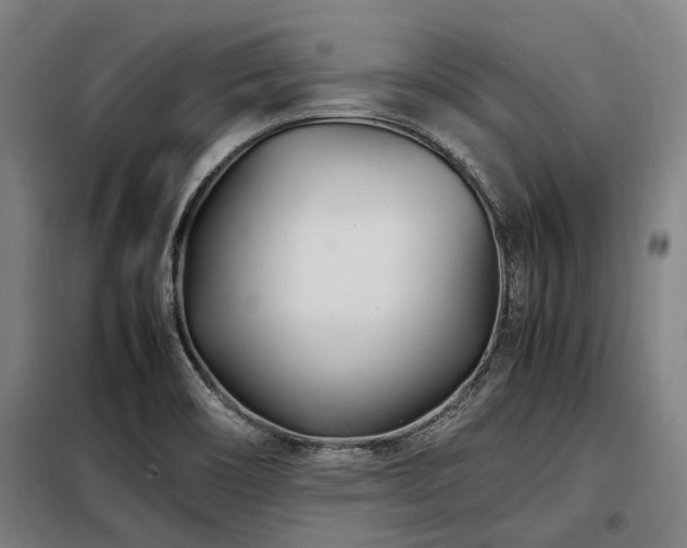 X0000098081466200804041137