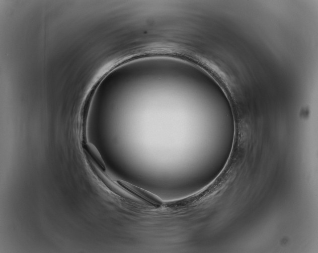 X0000098081467200804041137