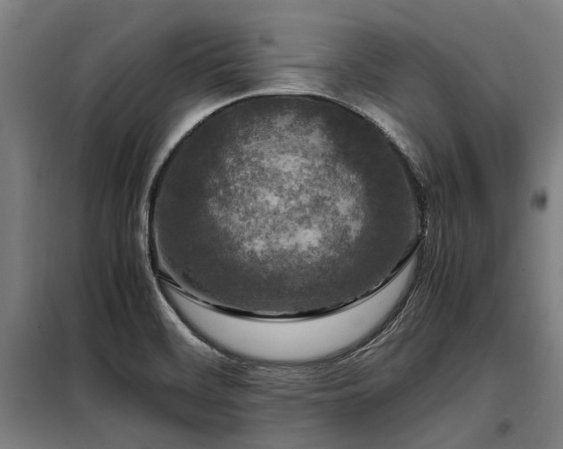 X0000098081468200804041137
