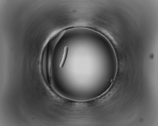 X0000098081469200804041137
