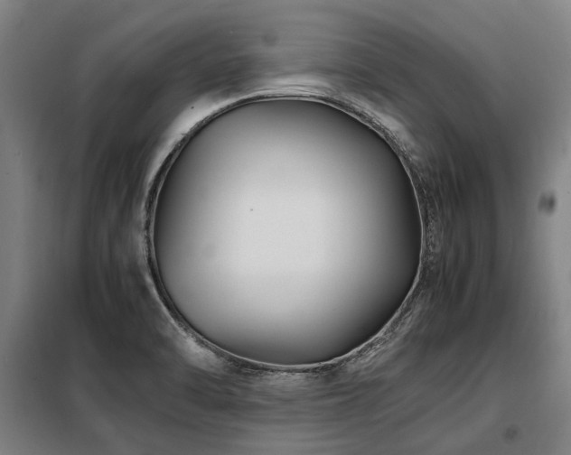 X0000098081470200804041137