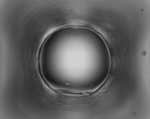 X0000098081471200804041137