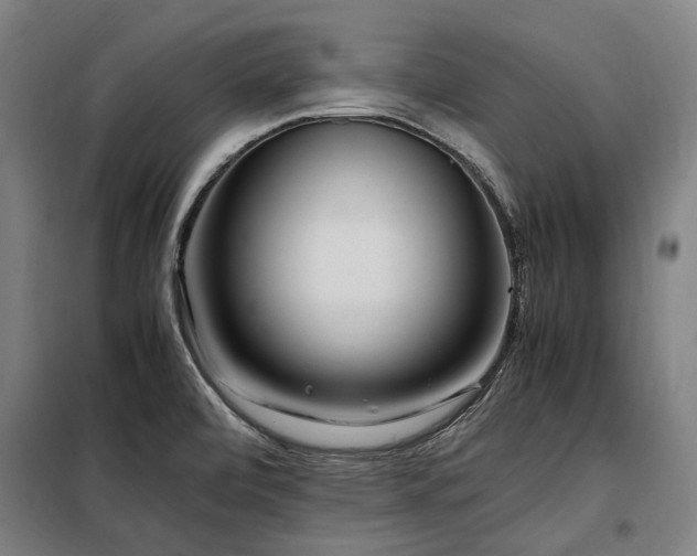 X0000098081472200804041137