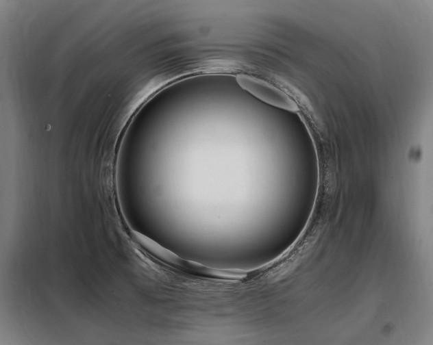 X0000098081473200804041137