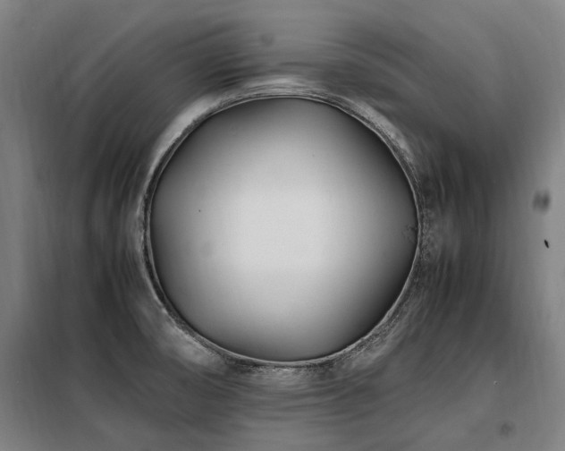 X0000098081474200804041137
