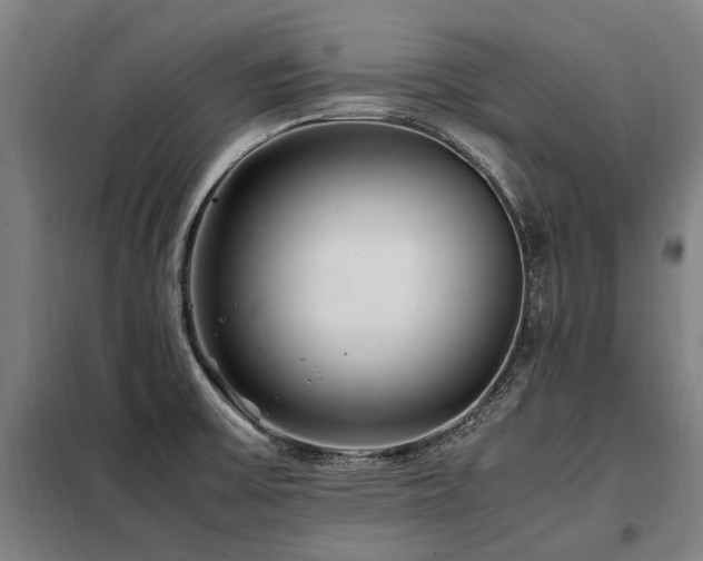 X0000098081475200804041137