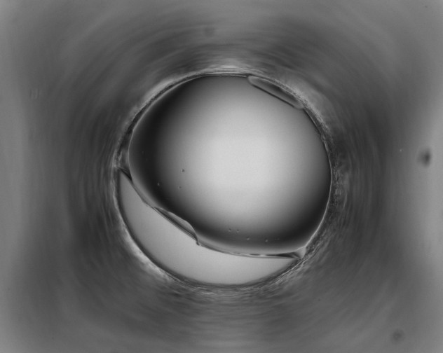 X0000098081476200804041137
