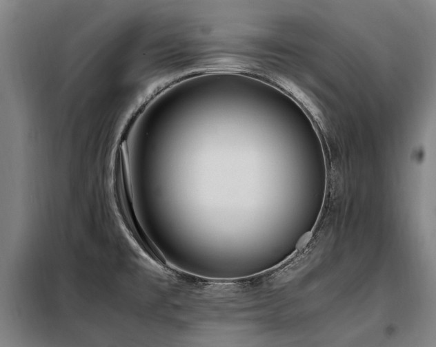 X0000098081477200804041137