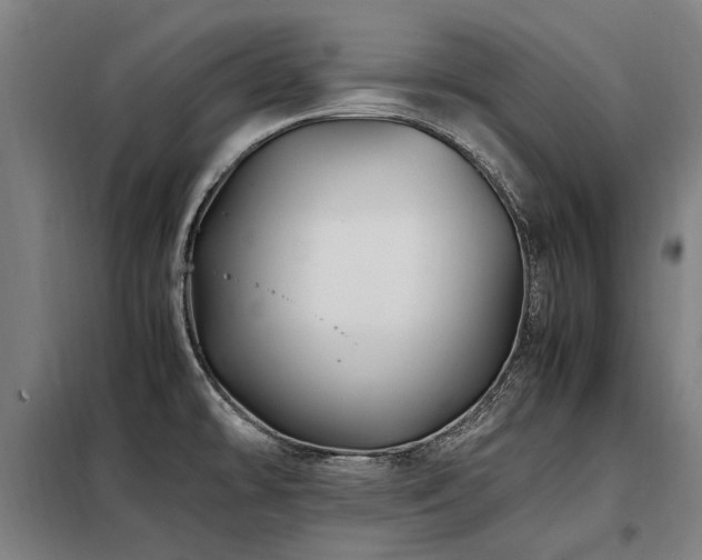 X0000098081478200804041137