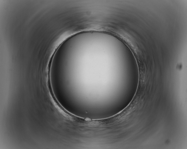 X0000098081479200804041137