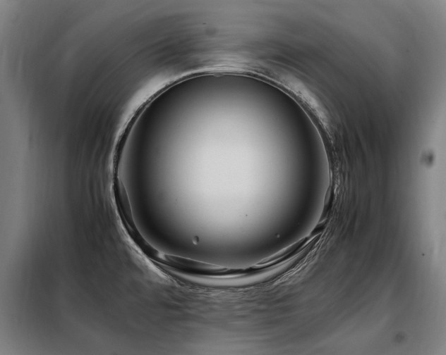 X0000098081480200804041137