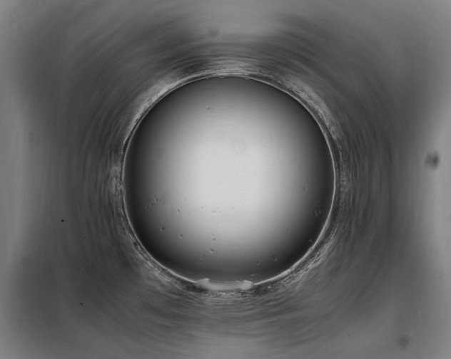 X0000098081481200804041137