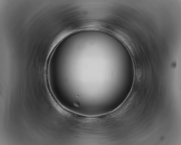 X0000098081482200804041137