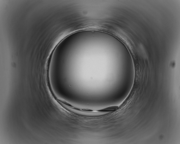 X0000098081483200804041137