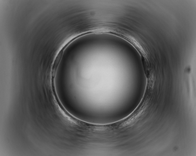 X0000098081484200804041137