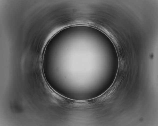 X0000098081486200804041137