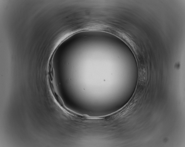 X0000098081487200804041137
