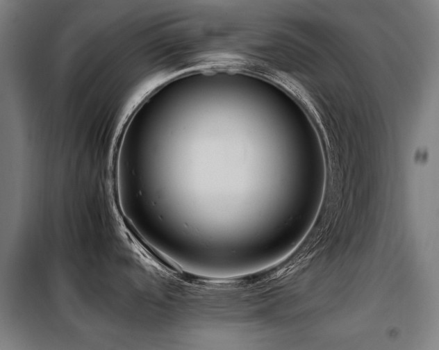 X0000098081488200804041137
