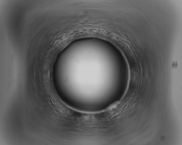 X0000098081489200804041136