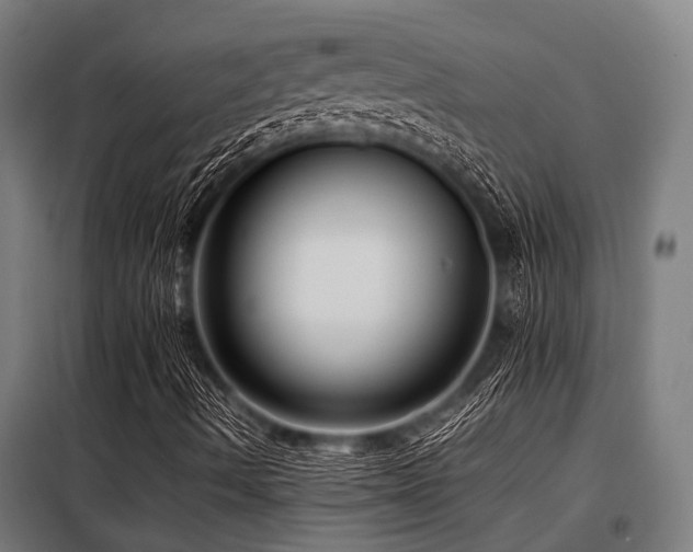 X0000098081490200804041136