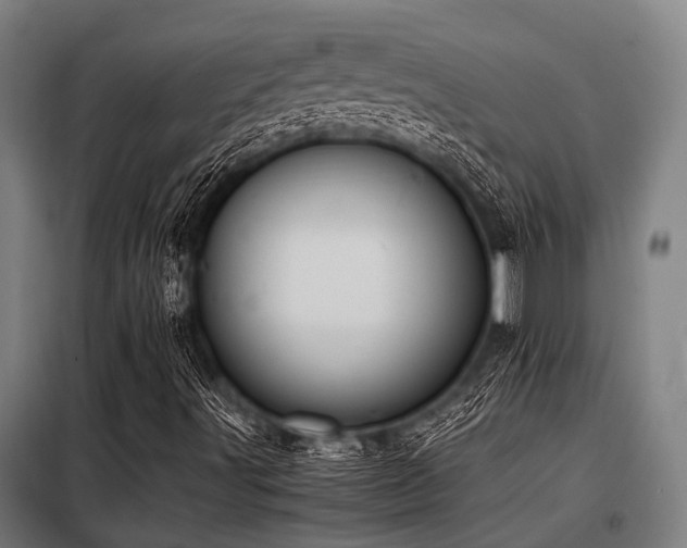 X0000098081491200804041136