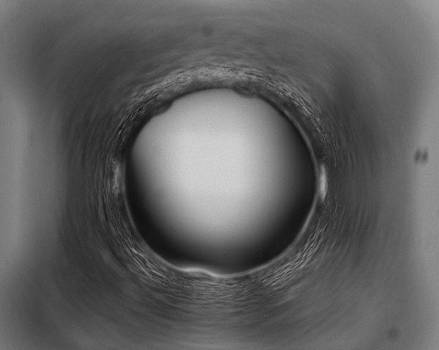 X0000098081492200804041136