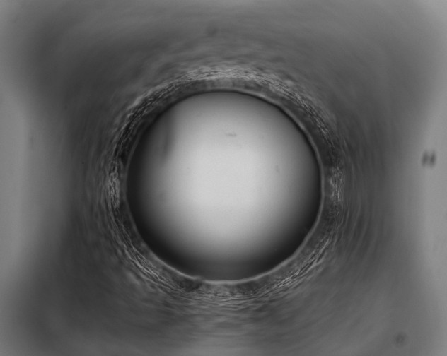 X0000098081493200804041136