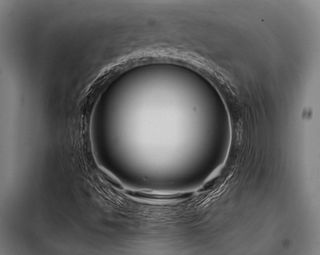 X0000098081494200804041136