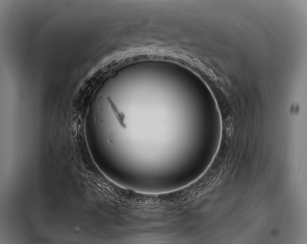 X0000098081495200804041136