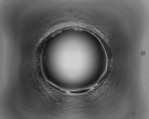 X0000098081496200804041136