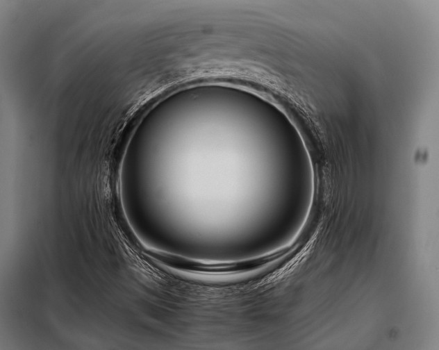 X0000098081497200804041136