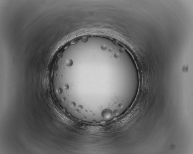 X0000098081498200804041136
