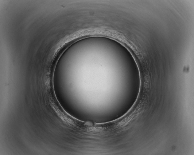 X0000098081499200804041136