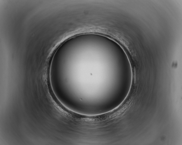 X0000098081500200804041136
